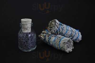 Planta Madre Botánicos