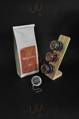 Planta Madre Botánicos