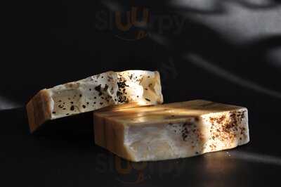 Planta Madre Botánicos