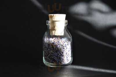 Planta Madre Botánicos