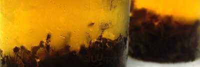 Planta Madre Botánicos