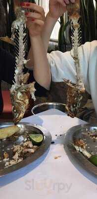 Pescadero BenjamÍn Bohorquez