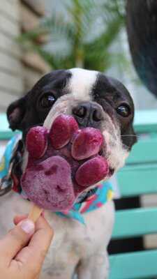 Paletteria Y Heladeria La Estación