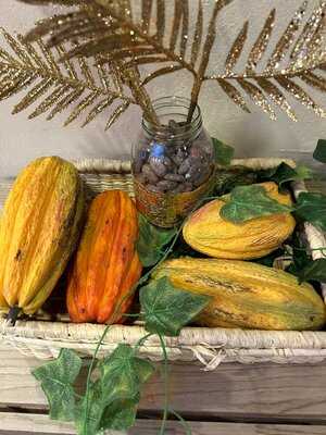 Legado Cacao Experience