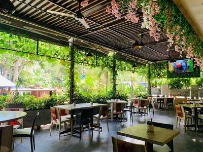 Dnazca Gastronomía Peruana