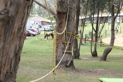 Photo 4