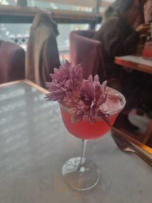 Todo Es Color Di Rosa