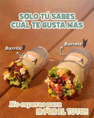 Barrita Burrito, Parque Explora