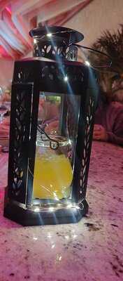 Selvátiko By Petronio