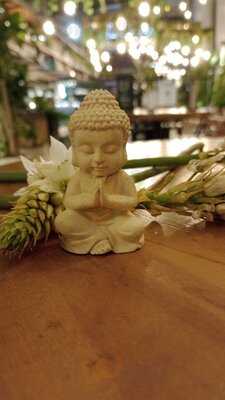 Garden Café Y Chocolate