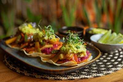 Morena Tropical Gastro Bar