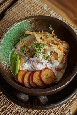 Morena Tropical Gastro Bar