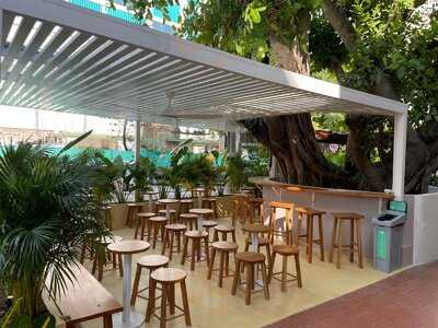 Pércimon Bocagrande, Cartagena