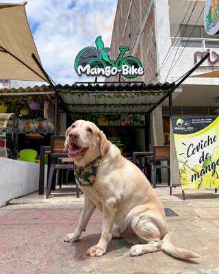 Mango Bike