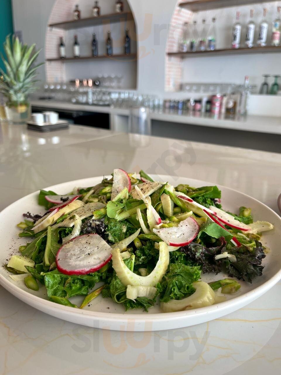 The Kat House Natural Wine Bar