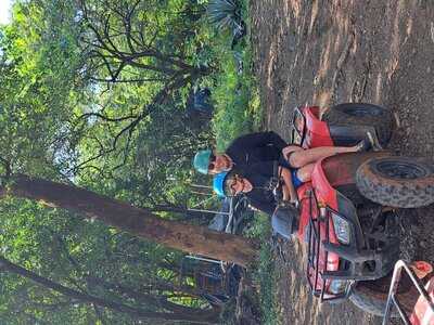 Black Stallion Ranch Style Bbq