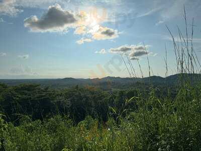 Black Stallion Ranch Style Bbq