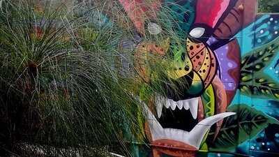 Malanga Fusión Caribe