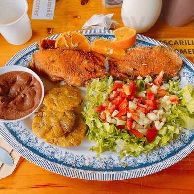 Truchas Selva Madre Costa Rica