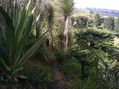 Mirador Colina Del Colibri