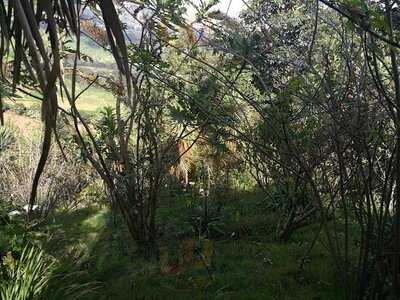 Mirador Colina Del Colibri