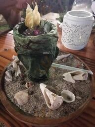 Tropic Tamarindo