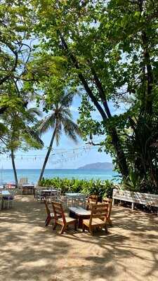 Ocean Restaurant & Beach Lounge