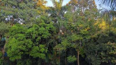 Namaste Indian Restaurant, Manuel Antonio