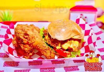 Pluyer Pollos