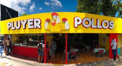 Pluyer Pollos