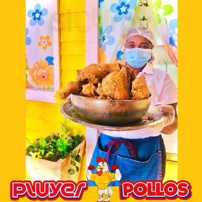 Pluyer Pollos