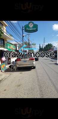 Crazy Moose