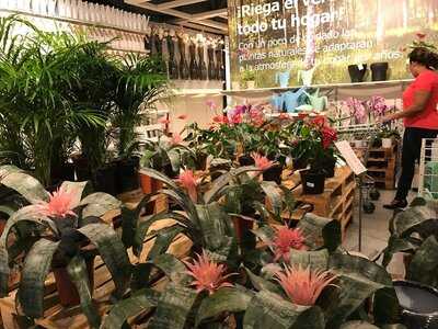 Ikea Showroom Center