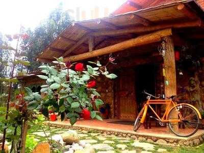 Le Petit Jardin