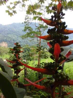 El Bosque Restaurante