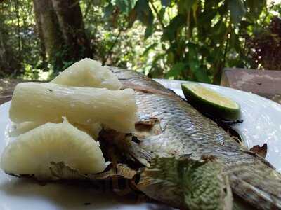 El Bosque Restaurante