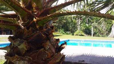 El Bosque Restaurante