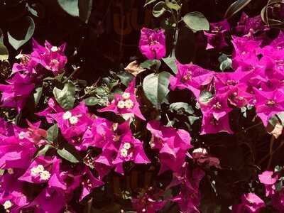 Le Bistrot Gourmand Salinas Ecuador