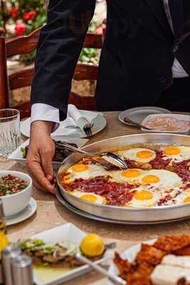 اندريا مريوطية-سهرة عشاء