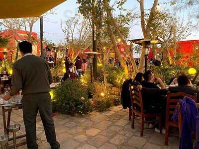 اندريا مريوطية-سهرة عشاء