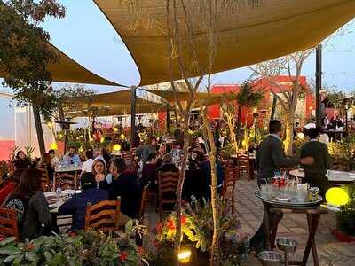 اندريا مريوطية-سهرة عشاء