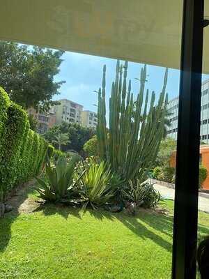 ‪my Kind Of Place‬