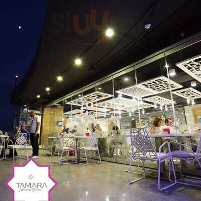 تمارا بيسترو لبناني