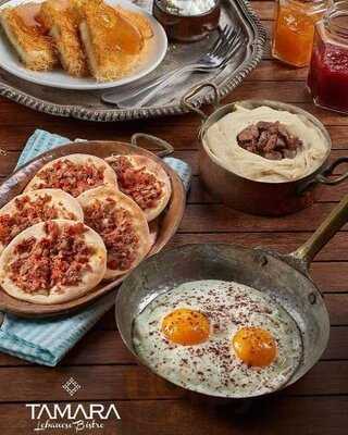 تمارا بيسترو لبناني