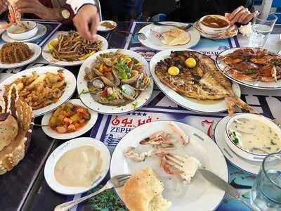 ‪zephyrion Fish‬