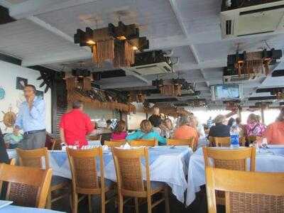 ‪alexandria Fish‬