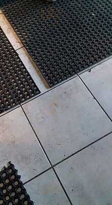 ‪latino Cafe & Restaurant Dokki‬