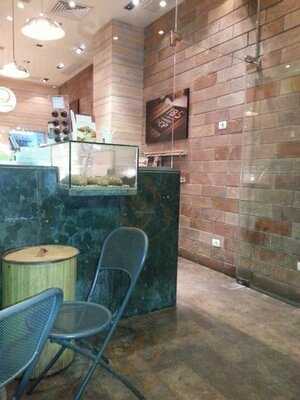 تى بى اس - ذا بيكرى شوب