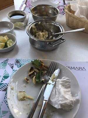 تمارا بيستر لبناني