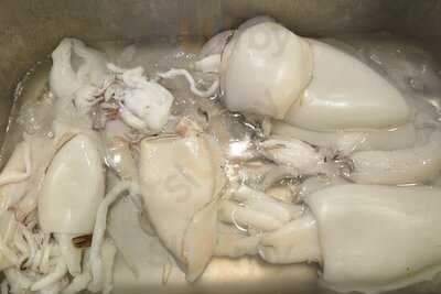 ‪hosny For B.b.q & Seafood S. A. E.‬